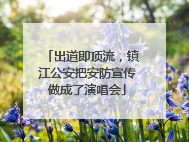 出道即顶流，镇江公安把安防宣传做成了演唱会